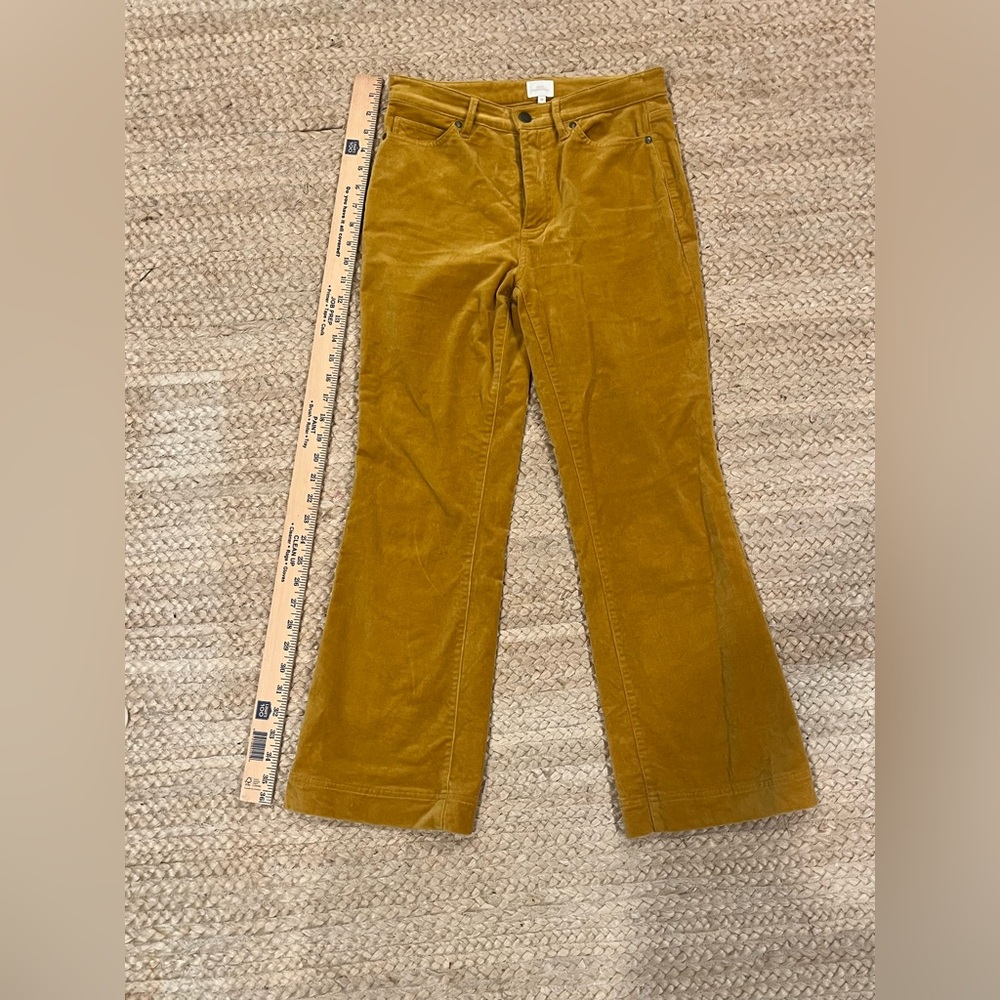 Ann Mashburn Artsy Velvet Mustard Yellow Gold Cropped Ankle Mini Flare Pant